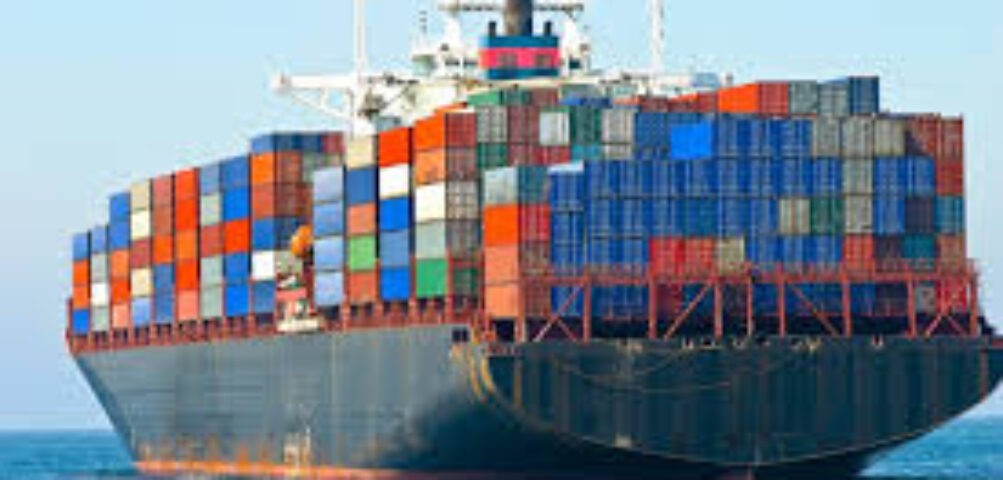 5,000+ Importers & Exporters